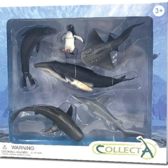 Sea Life Boxed Set, 6pcs Carousel 1