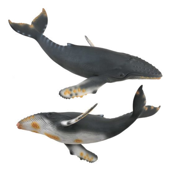 Sea Life Boxed Set, 6pcs Carousel 7