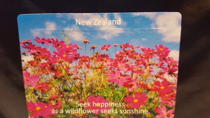 NZ Pink Wildflower Fridge Magnets Carousel 1