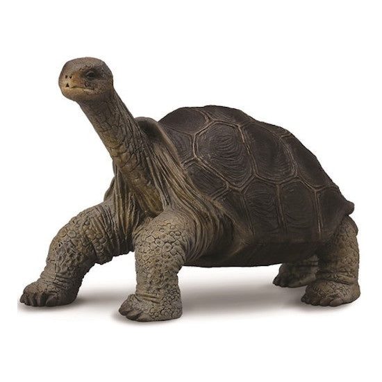 Pinta Island Tortoise George Figurine M Carousel 1