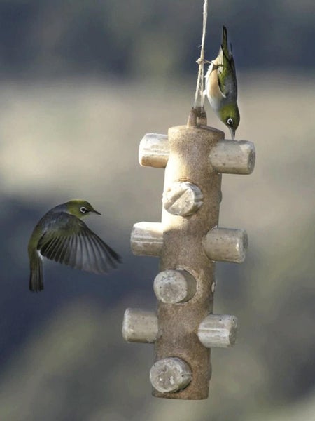 Wild Bird Energy Logs Carousel 3