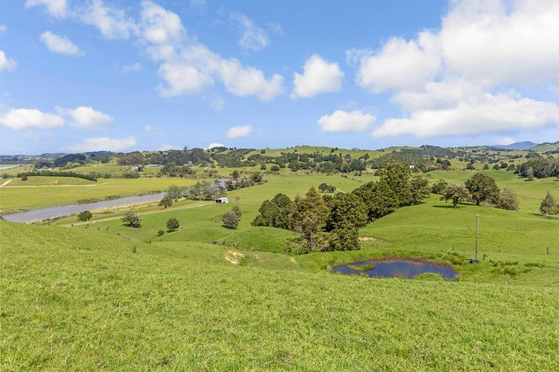 Image 1 of 44