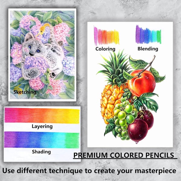 300 Premium Colored Pencils Set62990728465539113