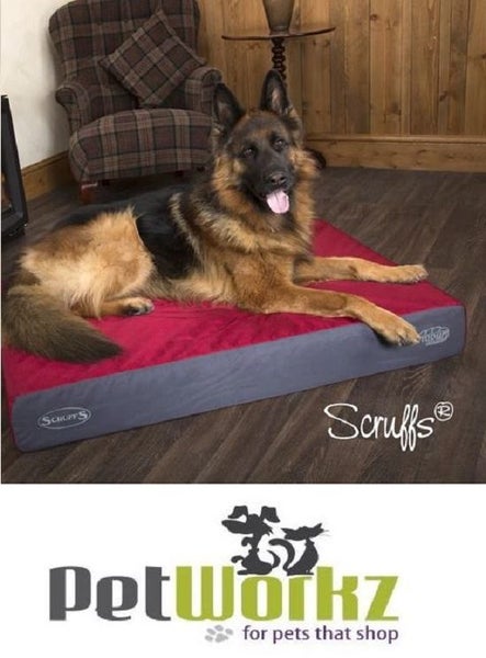 DOG BED SCRUFFS ARMOURDILLO ORTHOPAEDIC XL 116CM Carousel 2