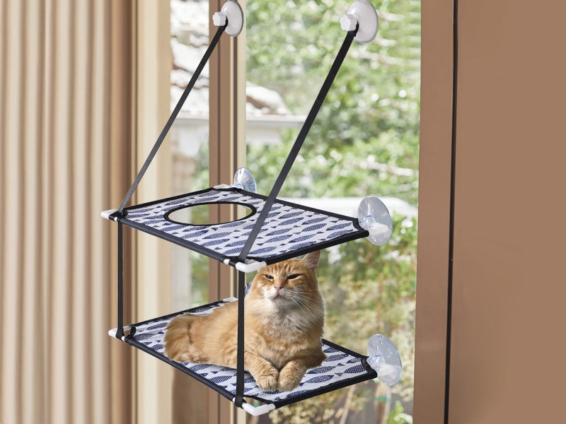 Cat Window Hammock Carousel 1