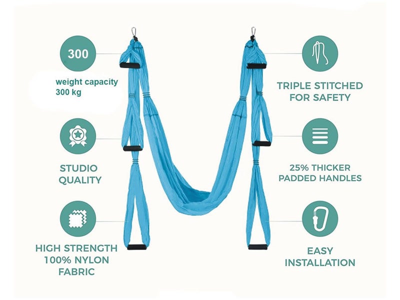 Premium Aerial Yoga Swing Set Carousel 2
