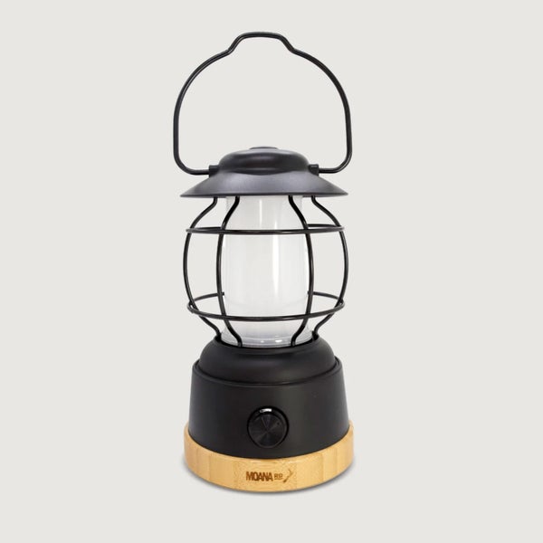 Moana RD - Retro Style Lantern Carousel 1