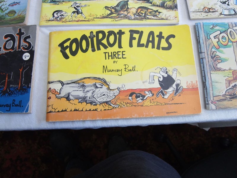 Standard Size Footrot Flats #3 Murray Ball Carousel 1
