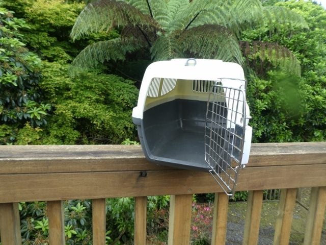 Cat Carry Cage - Front Loader - Light Grey / Dark Grey- Medium/Large (#85) Carousel 2