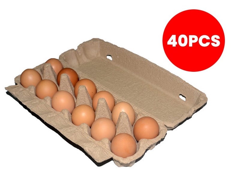 Egg Cartons (Auckland Stock) Carousel 2