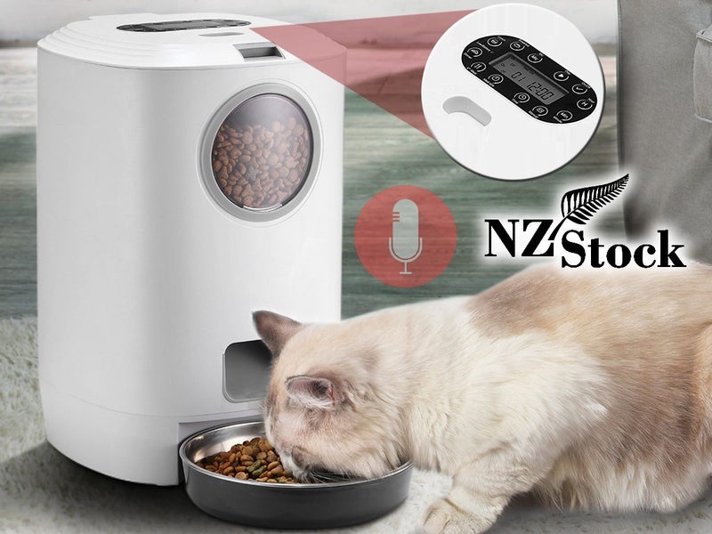 PTN New Cat Feeder Sale Sale Carousel 1