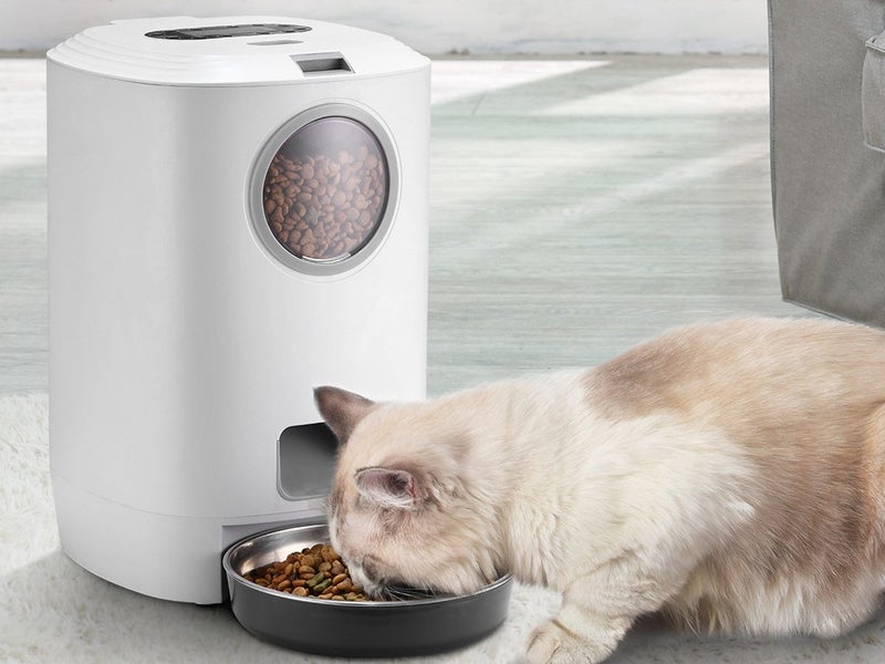 PTN New Cat Feeder Sale Sale Carousel 8