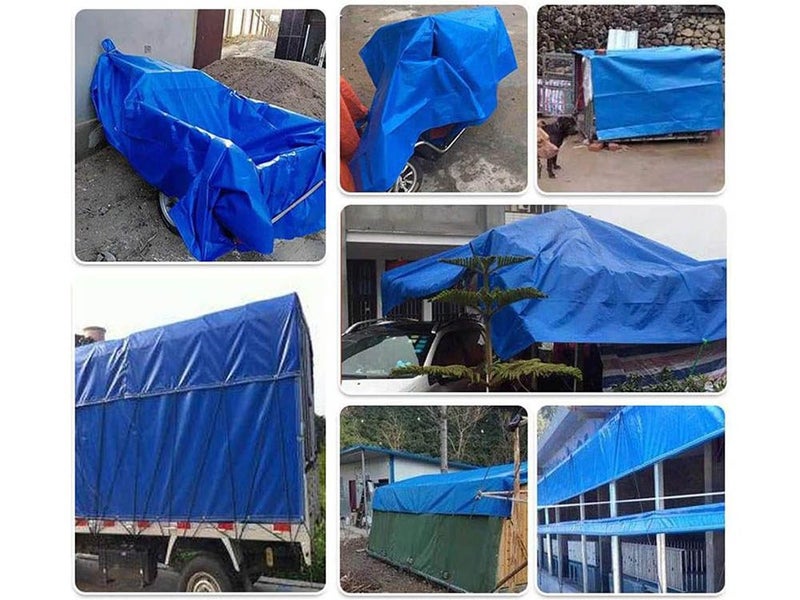 PTN NEW Large Canvas Tarpaulin Tarps Sale Sale Carousel 13