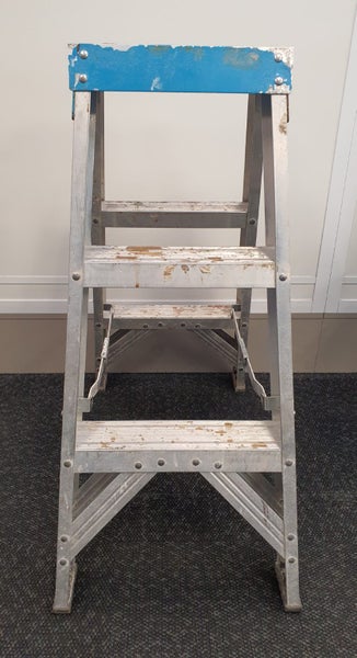 Easy Access Co OXDS03 3-Step Ladder Carousel 2