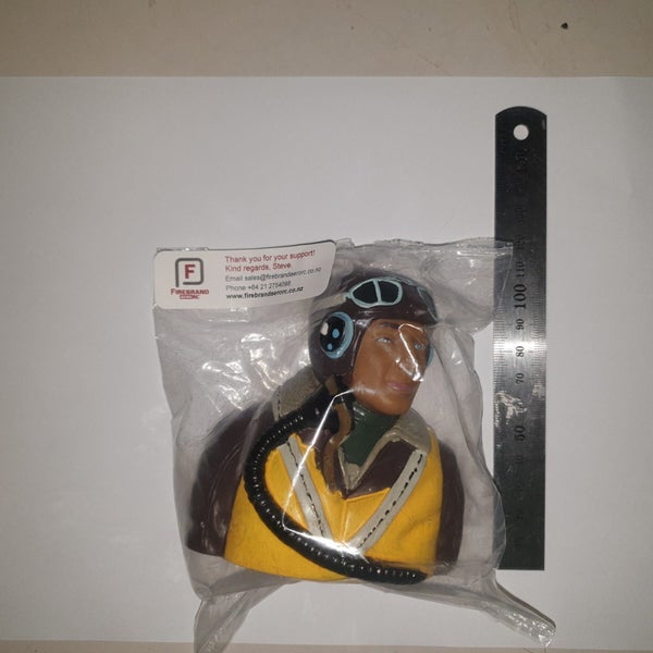 Pilot Bust (suit 1/5 Scale) Carousel 1