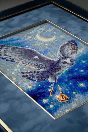 Riolis Cross Stitch Kit - Magic Owl Carousel 3