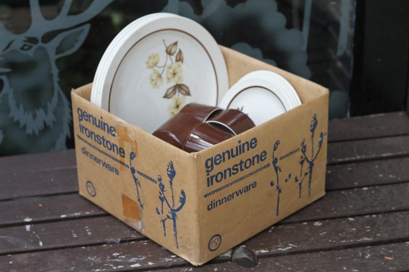Unused Crown Lynn 20 piece Ironstone dinnerware still with original box Carousel 1