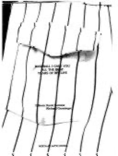 Baseball I Gave You All the Best Years of My Life by Kevin Kerrane, Richard G... Carousel 1