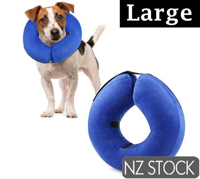 PTN NEW Dog Collar Sale Sale Carousel 1