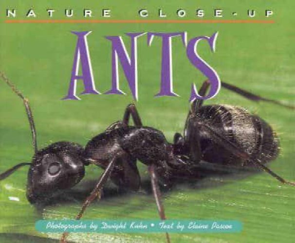 Ants by Blackbirch Press (Buy-In), Elaine Pascoe64378461707138110