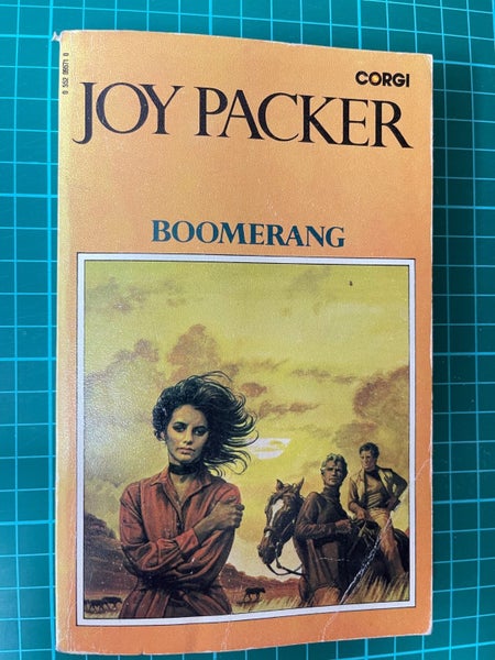 Boomerang by Joy Petersen Packer64302263098626110