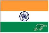 India flag Carousel 1