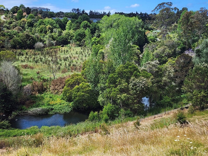 North Facing Riverside - 100M to Waipapa Landing62868840620674113
