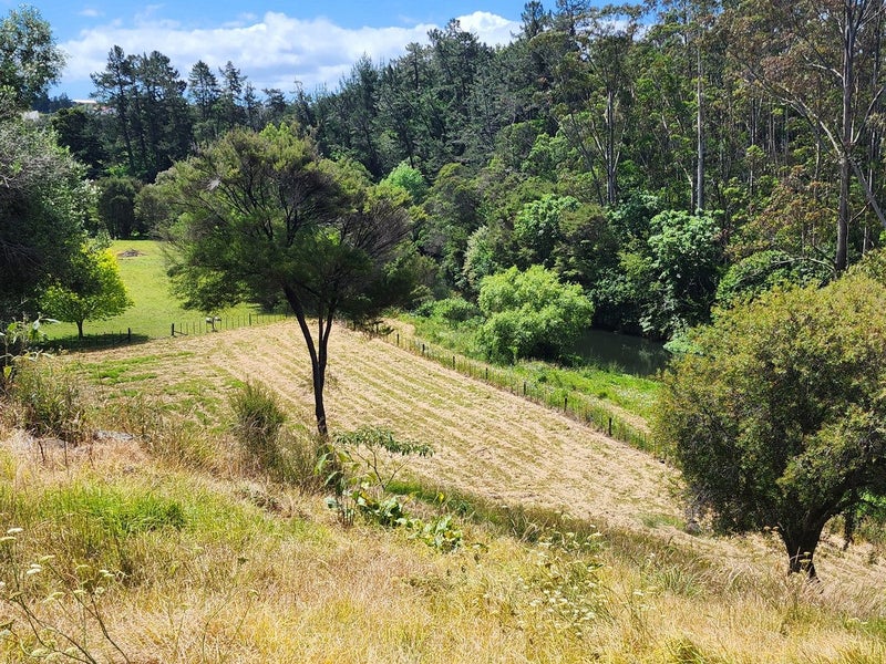 North Facing Riverside - 100M to Waipapa Landing62868840620674114