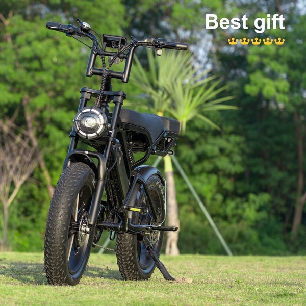V20 Pro Electric Bike, Up to 45Km/h and 50 Km Long-Range,Cool Gift Various Roads Carousel 1