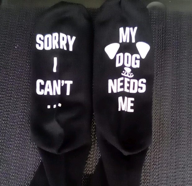 THE CATTAGE/DOGGO-Fun Dog Novelty Unisex Socks Add Some Playfulness To Your Feet Carousel 2