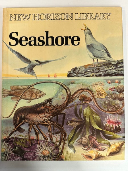Seashore by David Lambert64491638621570110