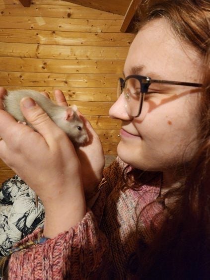 Beautiful baby ratlings Carousel 2