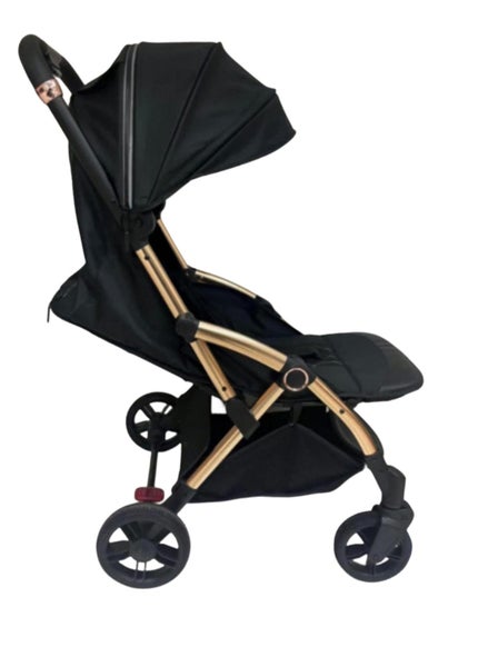 Ownership's One touch Fold Stroller Carousel 1