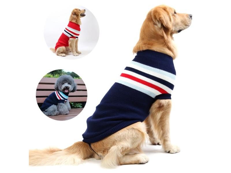 Dog Jacket Carousel 2