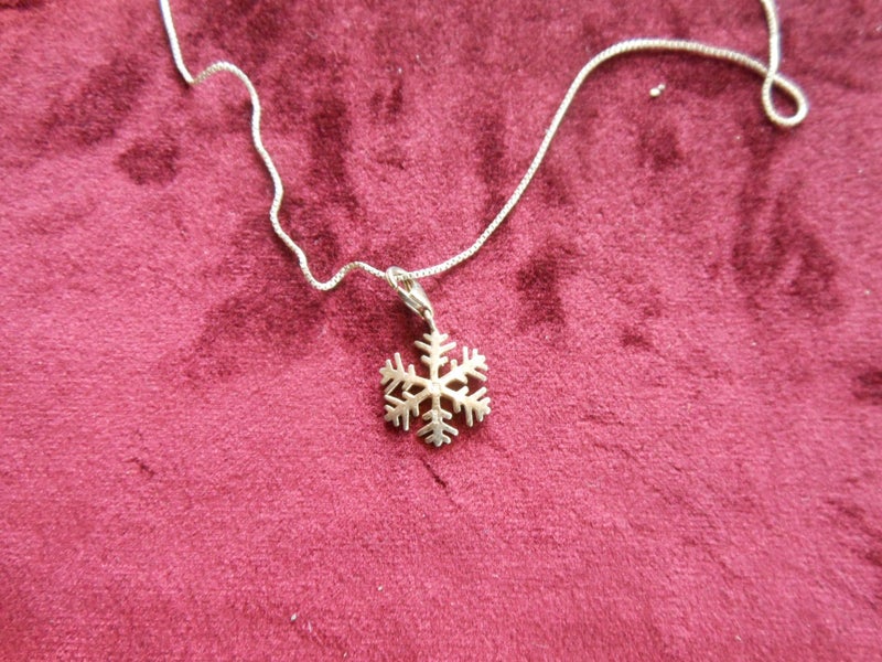 silver necklace Carousel 1