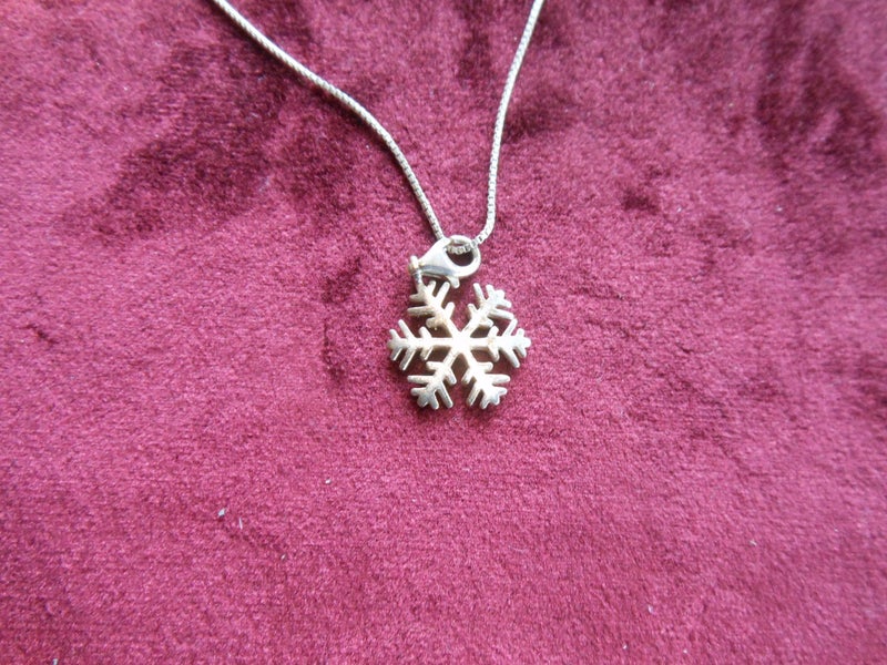 silver necklace Carousel 2