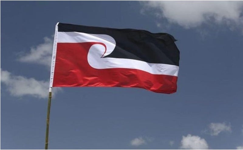 Maori Flag Carousel 2