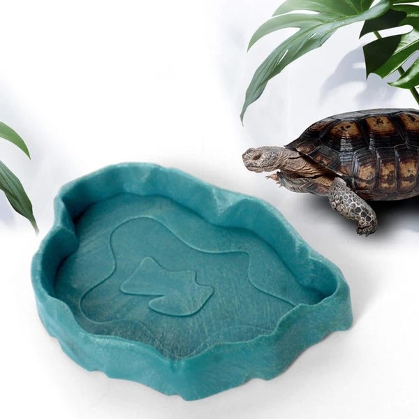 Reptile Bowls Feeding Worm Dish Mealworm Feeder Plastic For Reptiles Carousel 6