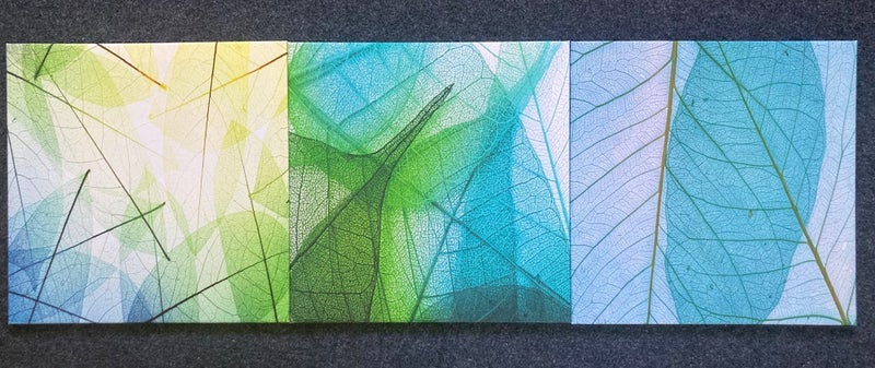 Green Leaves Canvas Art Print62854319224067113