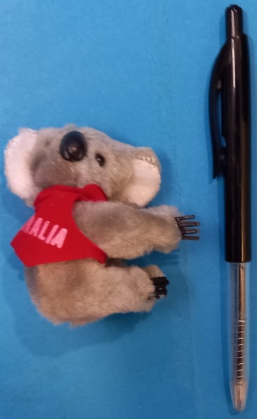 KOALA Carousel 1
