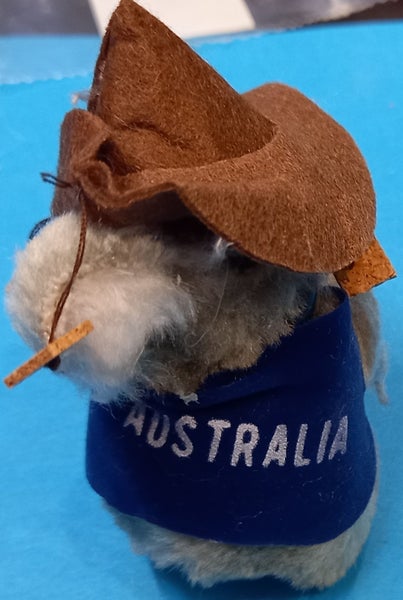 KOALA Carousel 6