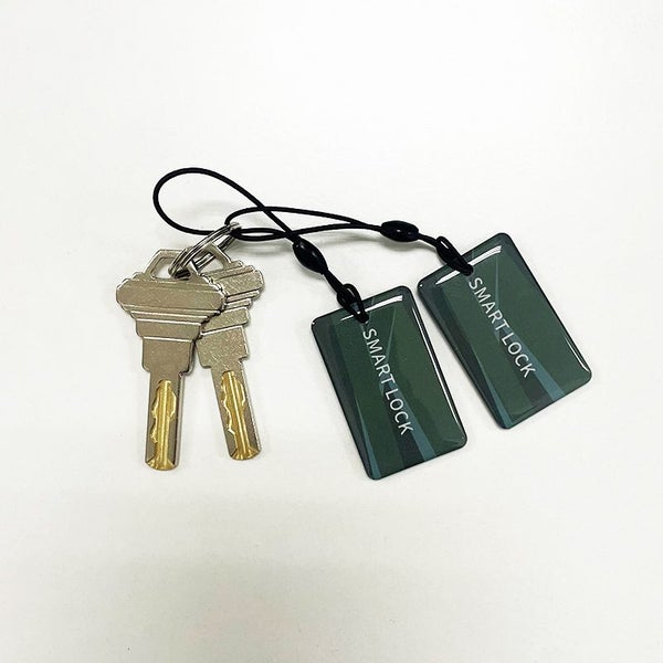 Pre-Order. 5-in-1 Smart door lock: APP, Fingerprint, Keypad, IC Card, Key Carousel 19