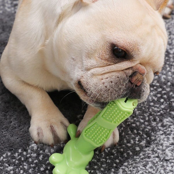 Dog Toothbrush Pet Brushing Stick Teeth Cleaning Chew Toy NEW Carousel 1
