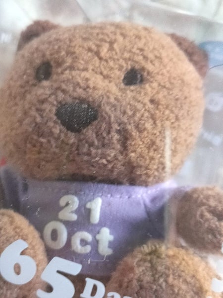 365 Days Bear of Color 21 October birthday /memory toy Carousel 2