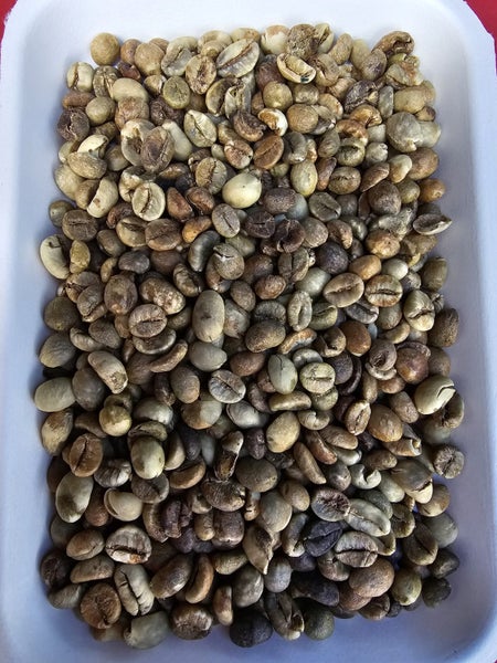 Green Coffee Robusta 4.5 Kg Carousel 3