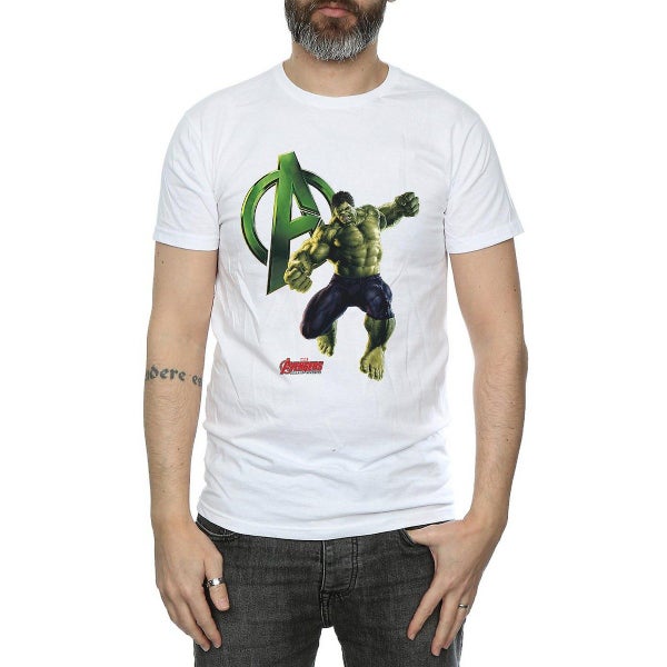 Avengers Age Of Ultron Mens Hulk Pose Cotton Carousel 1