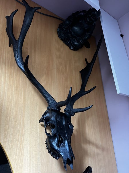 antler artwork Carousel 1