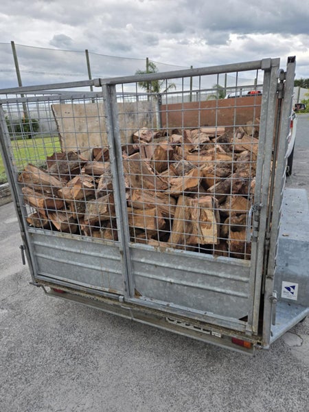 Dry Casuarina Firewood Carousel 1