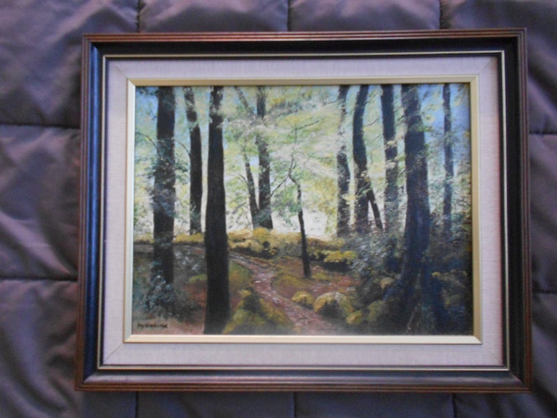 Beech Forest Carousel 1
