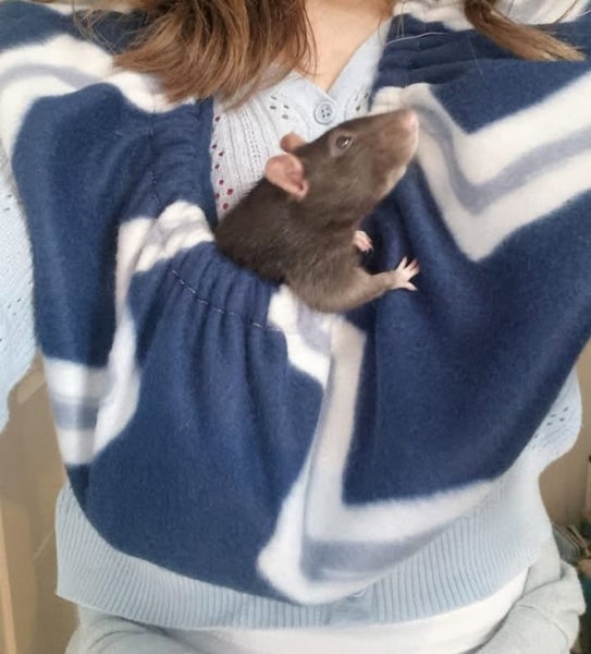 Rat Bonding Scarf - Choose your own design Carousel 1